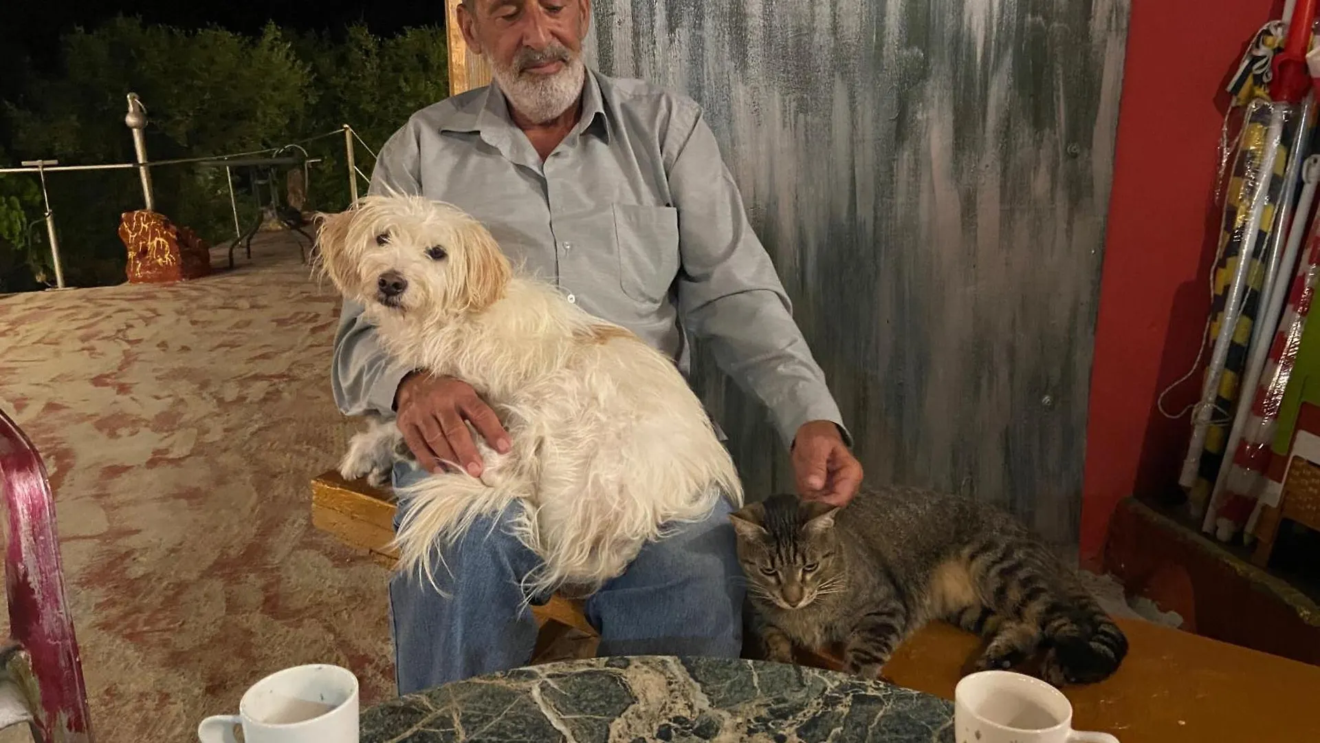 Art Studio Kefalonia Dhavgáta Grécia